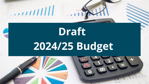 202425-Draft-Budget.png