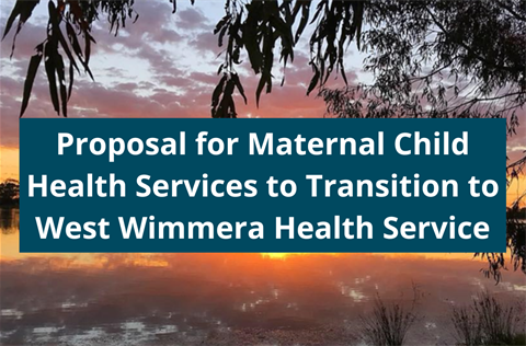 Proposal for Maternal Child Health Services.png