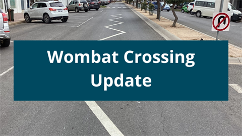 Website Tiles - Wombat Crossing.png