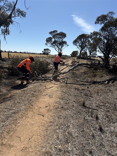 Northern-Works-Ryans-Road.removing-vegetation