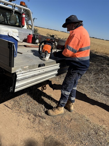 Northern Works Ryans Road removing vegetation