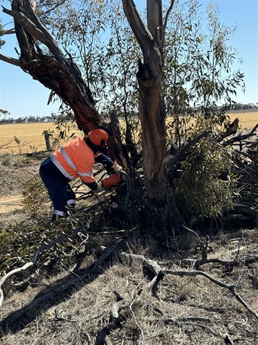 Northern Works Ryans Road removing vegetation